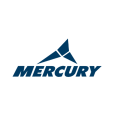 INDUSTRIAS MERCURY