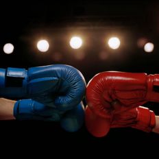 Boxing Gloves
